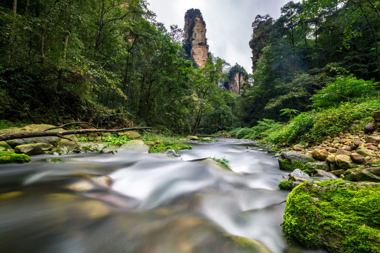 zhangjiajie