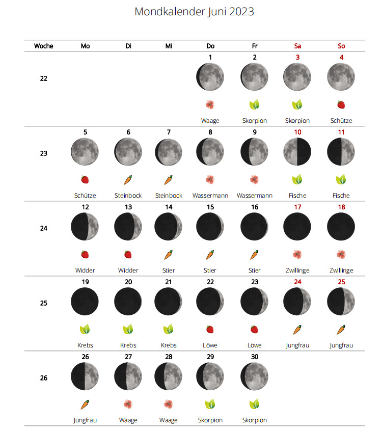 Mondkalender 2023: Gärtnern mit dem Mondzeichen